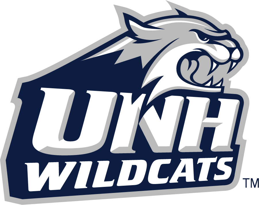 New Hampshire Wildcats 2000-Pres Secondary Logo v2 diy iron on heat transfer
